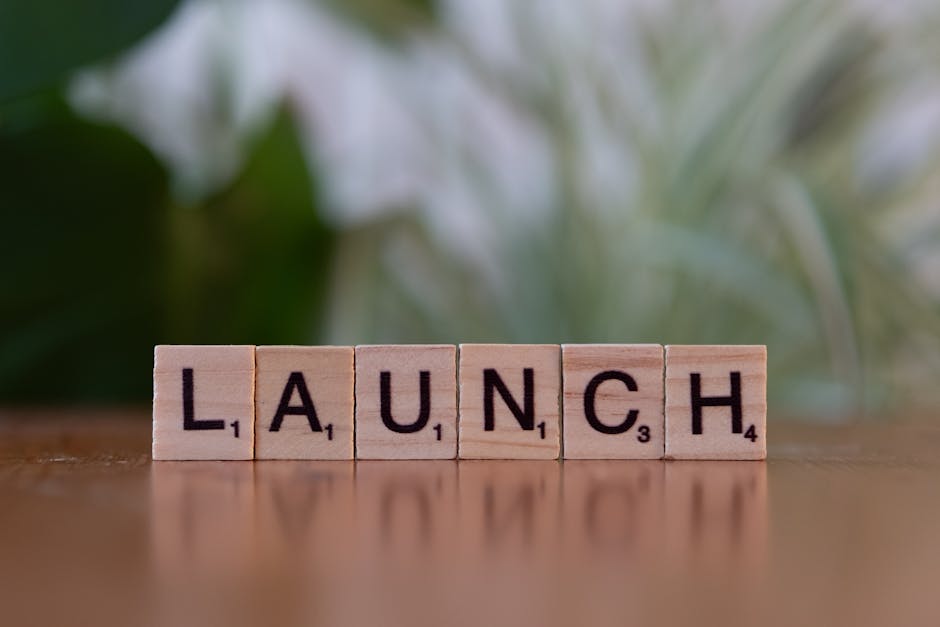 Free stock photo of begin, business, development