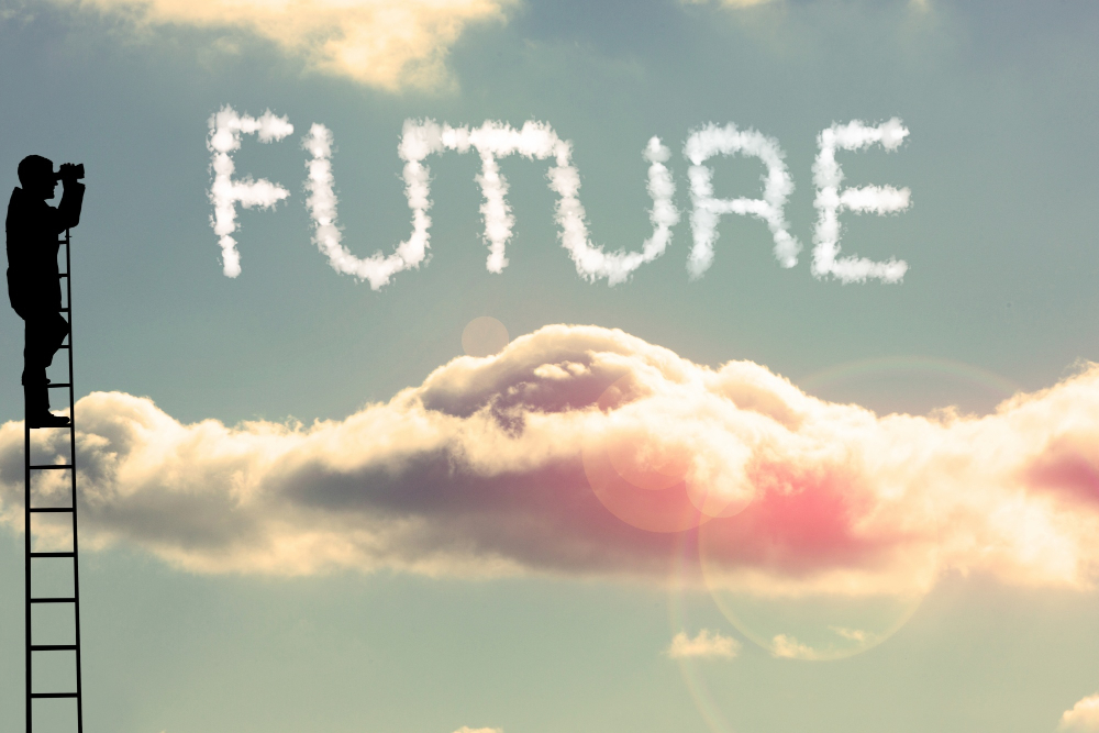 What is the Future of BabyLoveGrowth?
