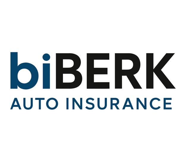 BiBerk Auto Insurance