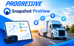 Progressive Snapshot ProView